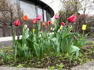 写真 2023-03-24 16 59 13.jpg