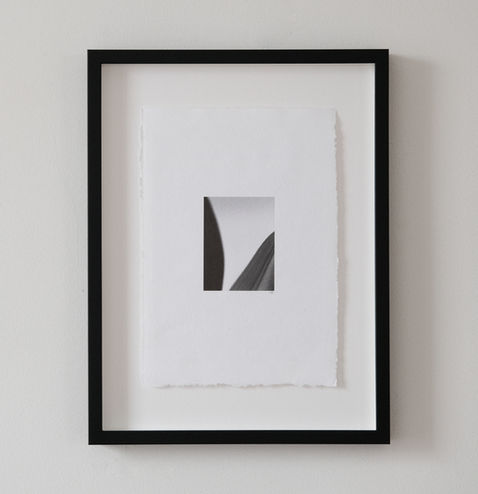 BOTANIC NUMBER NINE-09.jpg