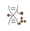 Wix Graphics (2).png