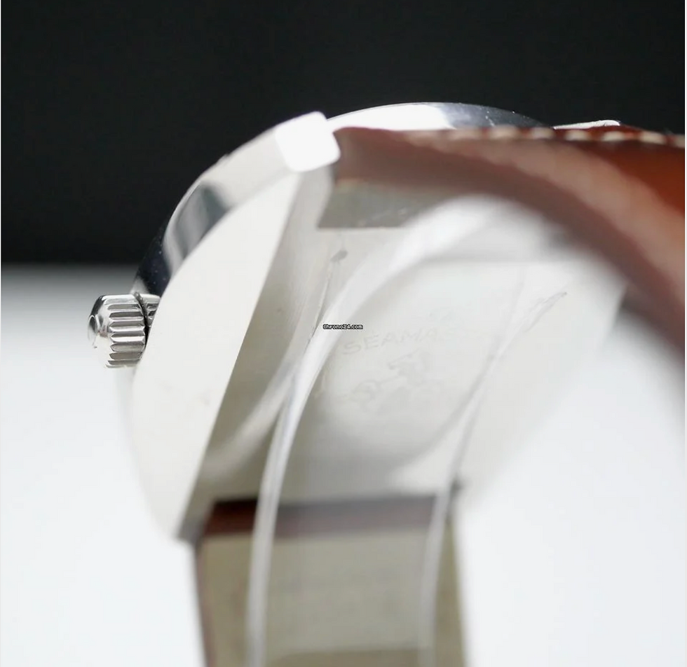 Miniature : Omega Seamaster Cosmic