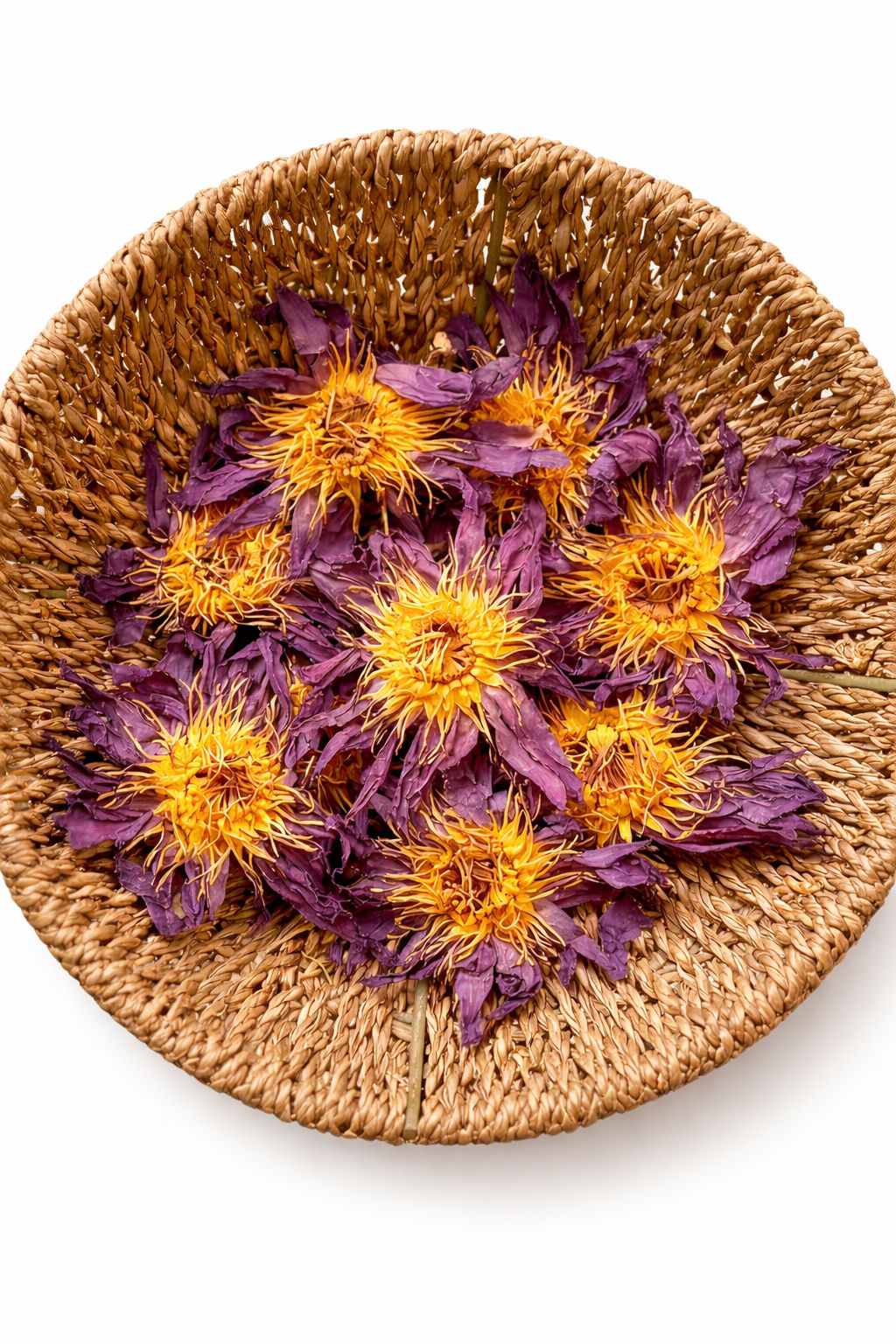 Bulk Blue Lotus Flowers (x5)