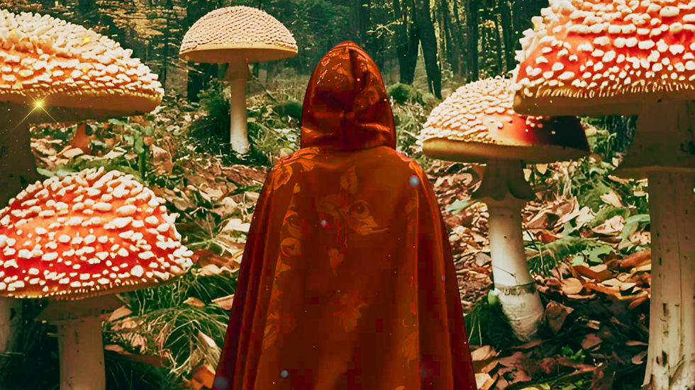 Winter 2026 Amanita Maiden Journey 1_edited.jpg