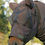 Thumbnail: Boett Sweet Itch Hood / Facemask