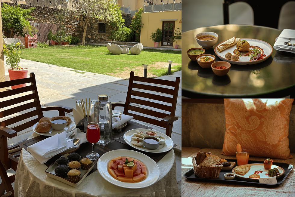 Heritage Fort Hotel in Udaipur
