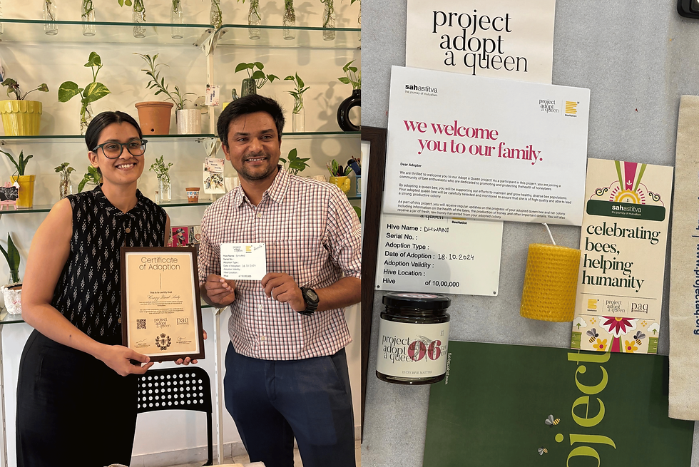 Crazy Plant Lady Cafe sustainable cafe in Ahmedabad