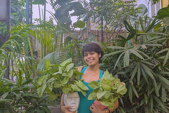 Crazy Plant Lady Cafe: The Greenest Plant Store Cafe in Ahmedabad