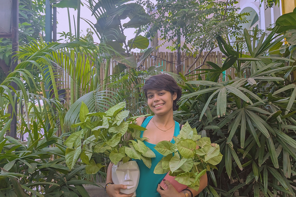 plant shopping in Ahmedabad