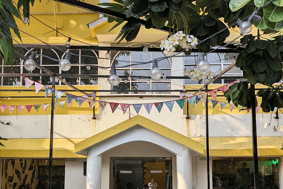 Searching for the Best Café in Ahmedabad? Here’s Why People Are Choosing Crazy Plant Lady Cafe
