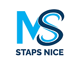 LOGO MS.png