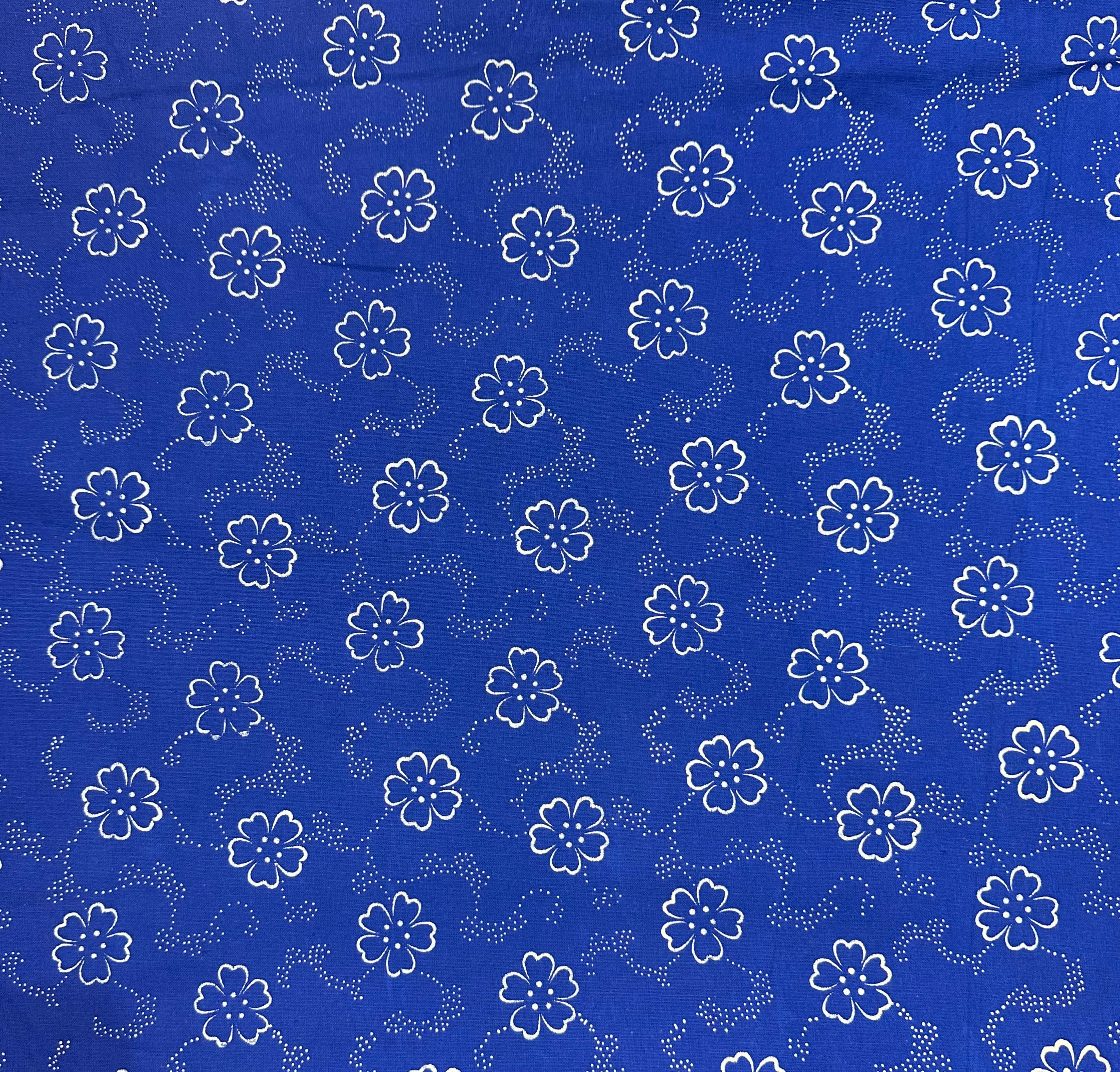 Hungarian Printed Indigo