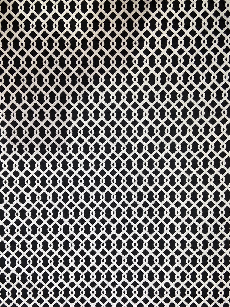 Waverly - Trellis - Black & White