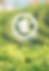 no pesticide_4x.png