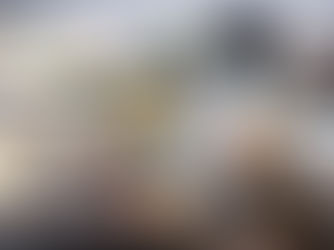 Hiroshima Kaiseki Guide: 7 Best Kaiseki Restaurants in Hiroshima