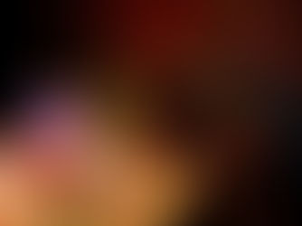 9 Best Things to Do in Hiroshima in Winter