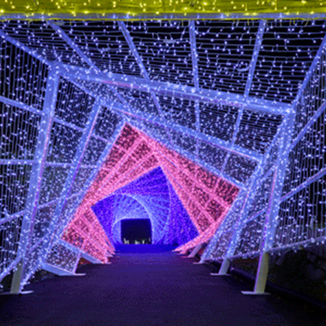 Kyoto Illumination 2022-2023 Guide: Best Winter Illuminations in Kyoto