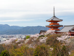 7 Best Things to Do in Kyoto for Couples