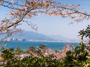 Hiroshima Spring Guide: 5 Best Things to Do in Hiroshima in Spring