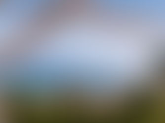 Hiroshima Spring Guide: 5 Best Things to Do in Hiroshima in Spring