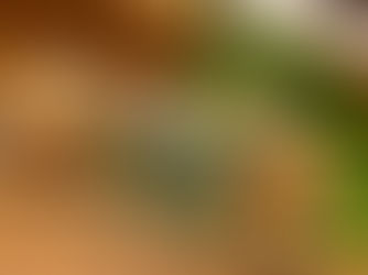 Yasaka Shrine Food Guide: Where and What to Eat Near Yasaka Shrine