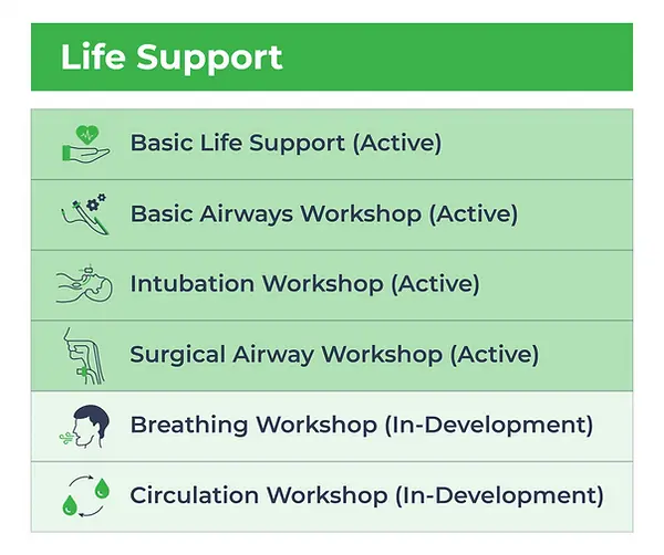 life support (1).webp