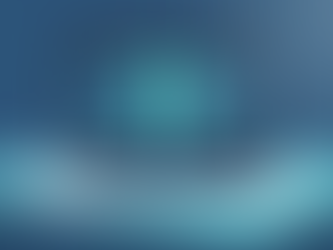 Overview of Services at a Background Check Services Site