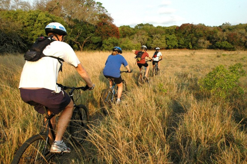 Cycling around the park