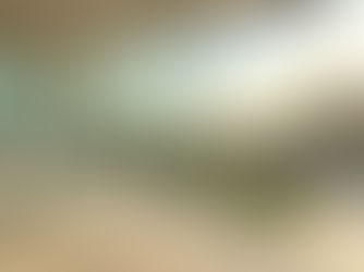 Custom Window Replacement Near You Solutions with Top Brands