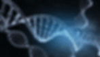 DNA-Genetics.gif