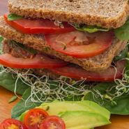Sandwich de aguacate