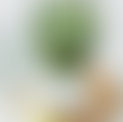 Smoothie verde con nuez de la india