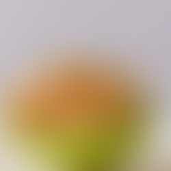 Aguacate relleno de atún