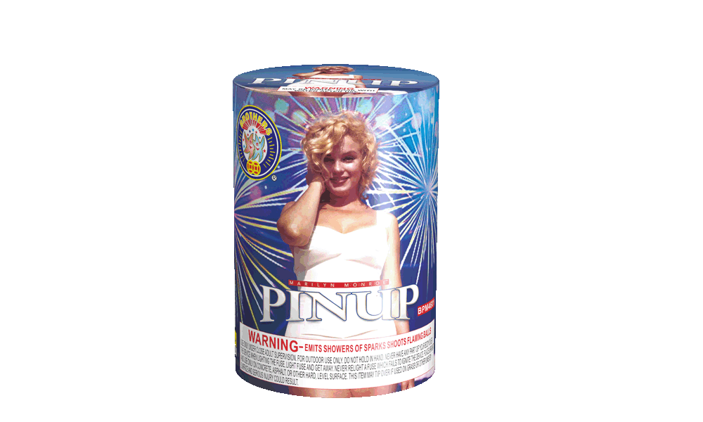 PIN UP BPM4601