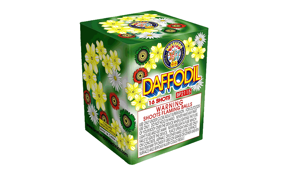 Daffodil