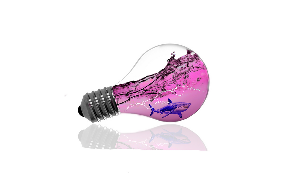 Camila-Spark (1).png