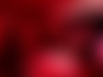 Polk State's "Darkroom Renaissance"