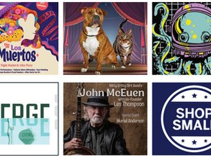 Polk Top 10 - Haven November 2025