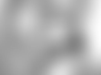 The Lost Words of a Trying Poet