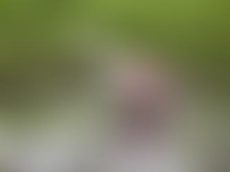 Winter Wanderings: Get Outdoors This Holiday Season