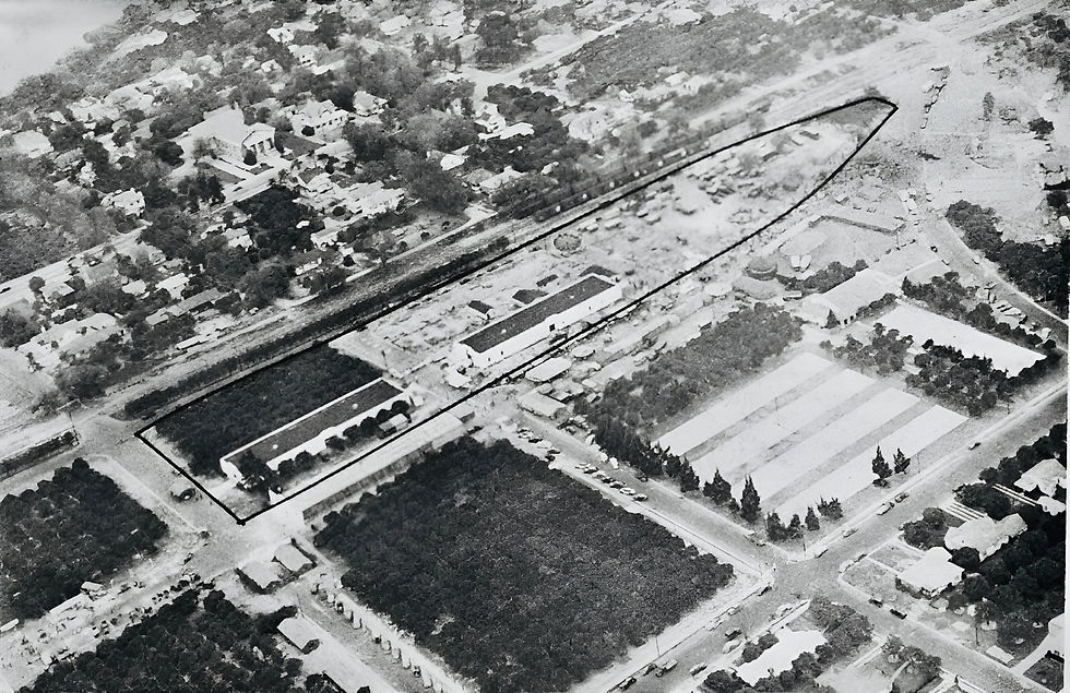 This aerial view of the 1942 Orange Festival shows where, one year later, a German prisoner of war camp was located. The camp site is outlined in black and the large grove block in the center at bottom is current site of Florida Citrus Building/Nora Mayo Hall.