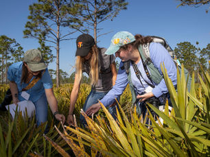 Celebrate Earth Day with Inaturalist and the City Nature Challenge
