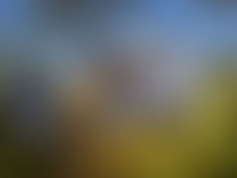 Celebrate Earth Day with Inaturalist and the City Nature Challenge