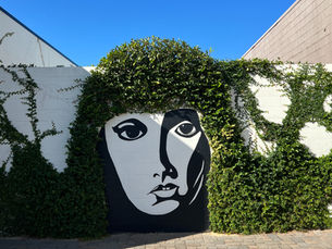 Past, Present, and Future of Winter Haven’s Growth