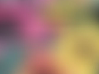 Pace Center for Girls