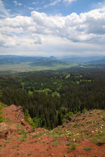 TGB_3122.jpg