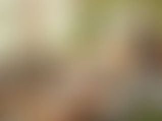 Why Choose Gregory Veterinary Clinic for Pet Care