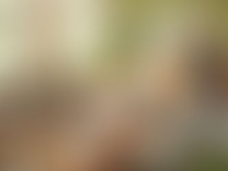 Why Choose Gregory Veterinary Clinic for Pet Care