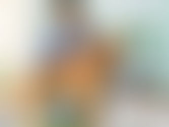 Affordable & Compassionate Vet Care in Tampa, FL