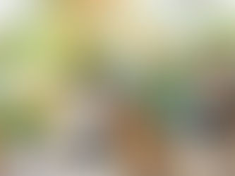 Why Choose Gregory Vet for Your Pet's Health?