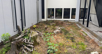 人工芝(リアリーターフ)