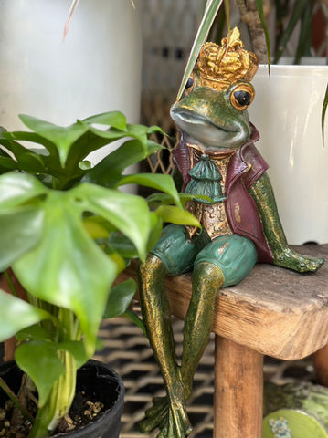 宮崎で人気の観葉植物販売